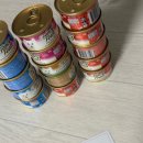 웅이포장 | 7살 페르시안 웅이의 사료 이야기 팬시피스트 화이트라벨 후기 내돈내산