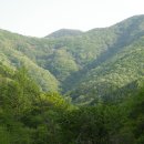 대호약국 이미지