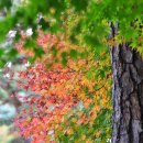 운암2동 행정복지센터 이미지