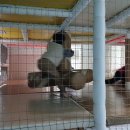 잭슨나인스 이미지