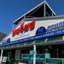 신대륙 | 대포항 맛집 신대륙 횟집 후기