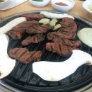 애견프라자 이미지
