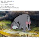 돈워리퍼피 | 레인보우 맨션 후기 III ( Feat. 아스트라 스페이스 부분 )