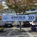 241005 PLAVE FAN CONCERT ‘Hello, Asterum!’ ENCORE 온콘 &amp; 241006 라이브뷰잉 후기