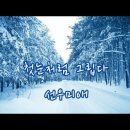 선우미애「그립다」 Daum카페