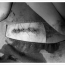 닥터김 동물병원 이미지