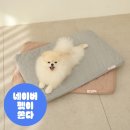 탄탄펫