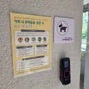 수유동카페 티틸 CAFE 반려동물동반 공부 작업 카페 후기
