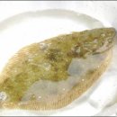 바다여인숙 이미지