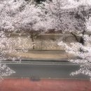 이박하 이미지