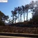 가람동_세종이마트앞 이미지