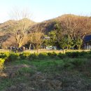 석현농장 이미지