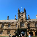 컴뱅크 | 시드니대학 교환학생, 호주 첫 1주일 적응기