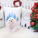 아콩하우스 이미지