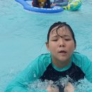 효블리하우스 이미지