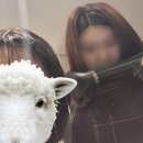 인간 두쫀쿠