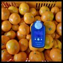 진수농장 이미지