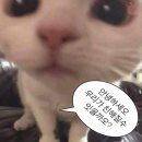 월영동138 | 나의 8월