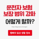 강화자동차 | 자동차운전자보험 23년 가입 25년 보장강화 : 후기 정보 정리