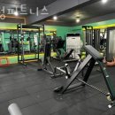 서정어린이집 | 중계동헬스 서정피트니스 위치 정보