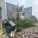 사계2248 | [제주] 사계2248 | 제주서쪽여행 후 찾아간 갬성가득 서귀포 숙소 - 달무리 후기