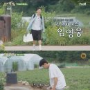 삼시세끼 이미지