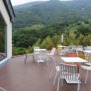 발레나식스 이미지