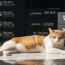 분당-314 이미지