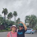 카페수노기