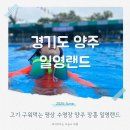 두리태권도장 | 일영랜드 평상 취사가능 수영장 양주어린이체험장소 재방문 후기