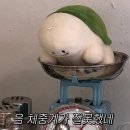 닥터구의원 티슬림 3회 내돈내산 후기 ( 전후 사진 )