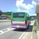 보성여객 이미지