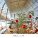 마고플레인 이미지