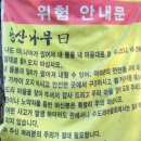 당산나무민박 이미지