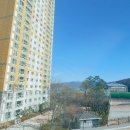 월영동233 이미지