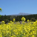 한라산농장 이미지