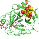 전립선암 선별검사 이미지