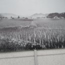 순천기획