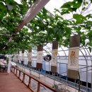 윤슬농장 이미지