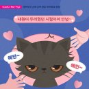 다솜동물병원 이미지