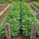 부자농약사 이미지