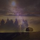 애견이야기 이미지