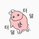 뮤트펜션 이미지