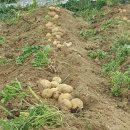 큐리어스어린이집 이미지