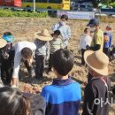 안동송현초등학교 이미지