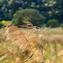 신풍공원 이미지