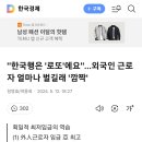 "한국행은 '로또'에요"…외국인 근로자 얼마나 벌길래 '깜짝' 이미지