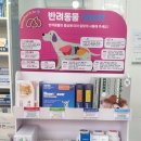 강동동물약국 이미지