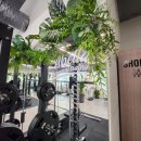 아벨라PT&필라테스