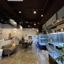 드림독 강아지분양 안심분양센터 김포점 이미지